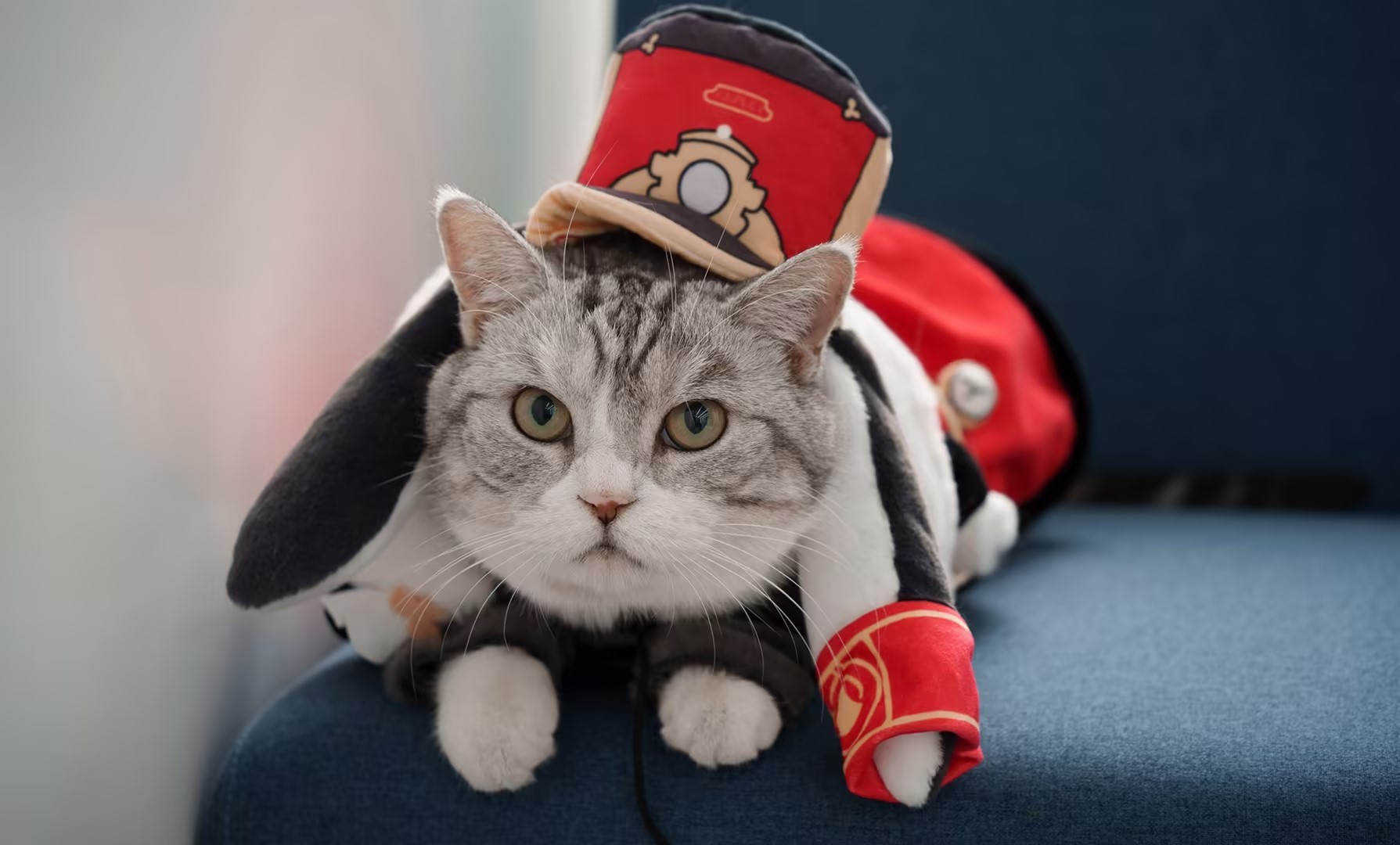 【动漫美图】你喜欢猫娘吗！？猫猫图壁纸特辑 P站美图-第14张