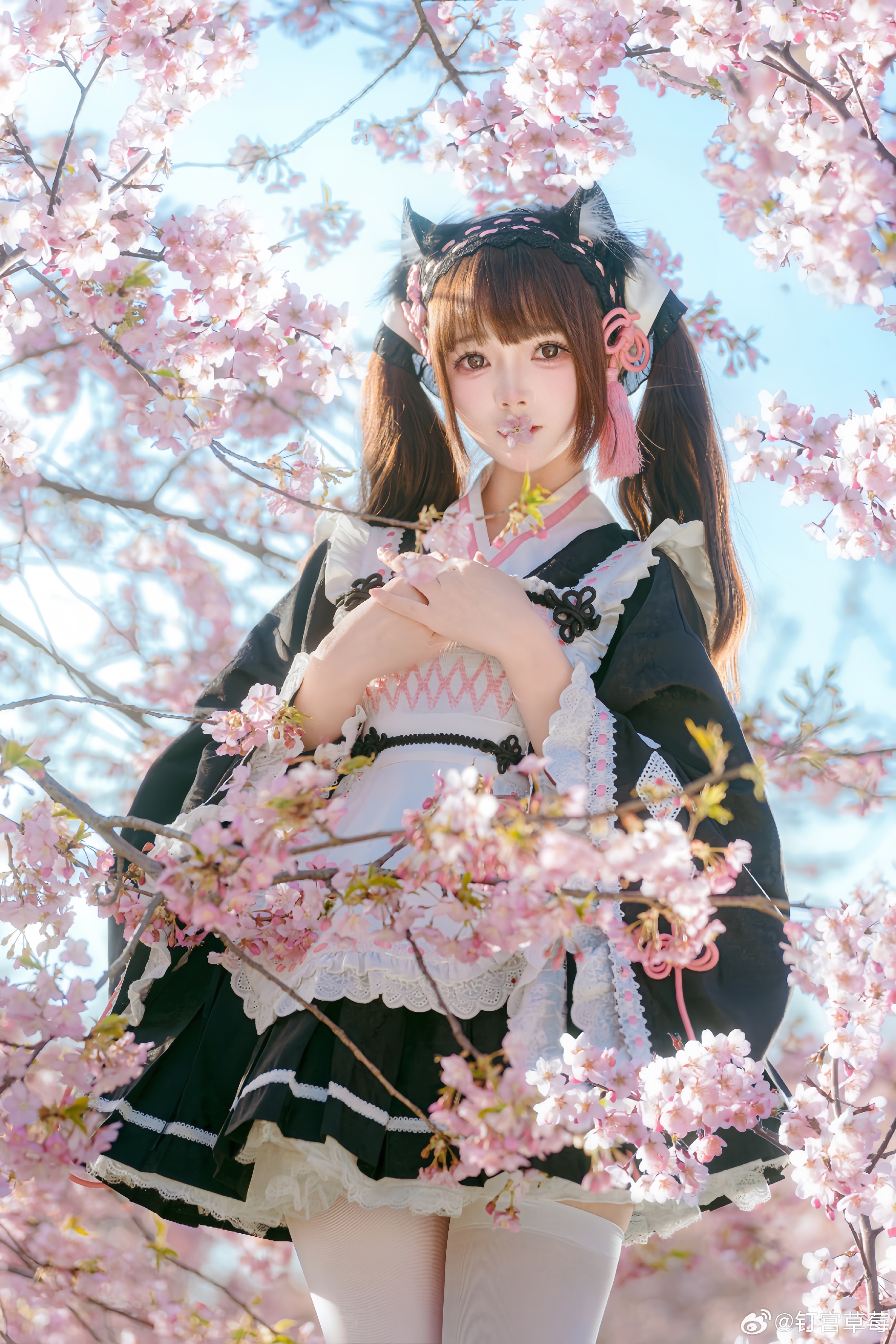 lolita 🌸樱花小妹出现辣!每年必打卡项目!@钉宫草莓 LOLITA-第6张