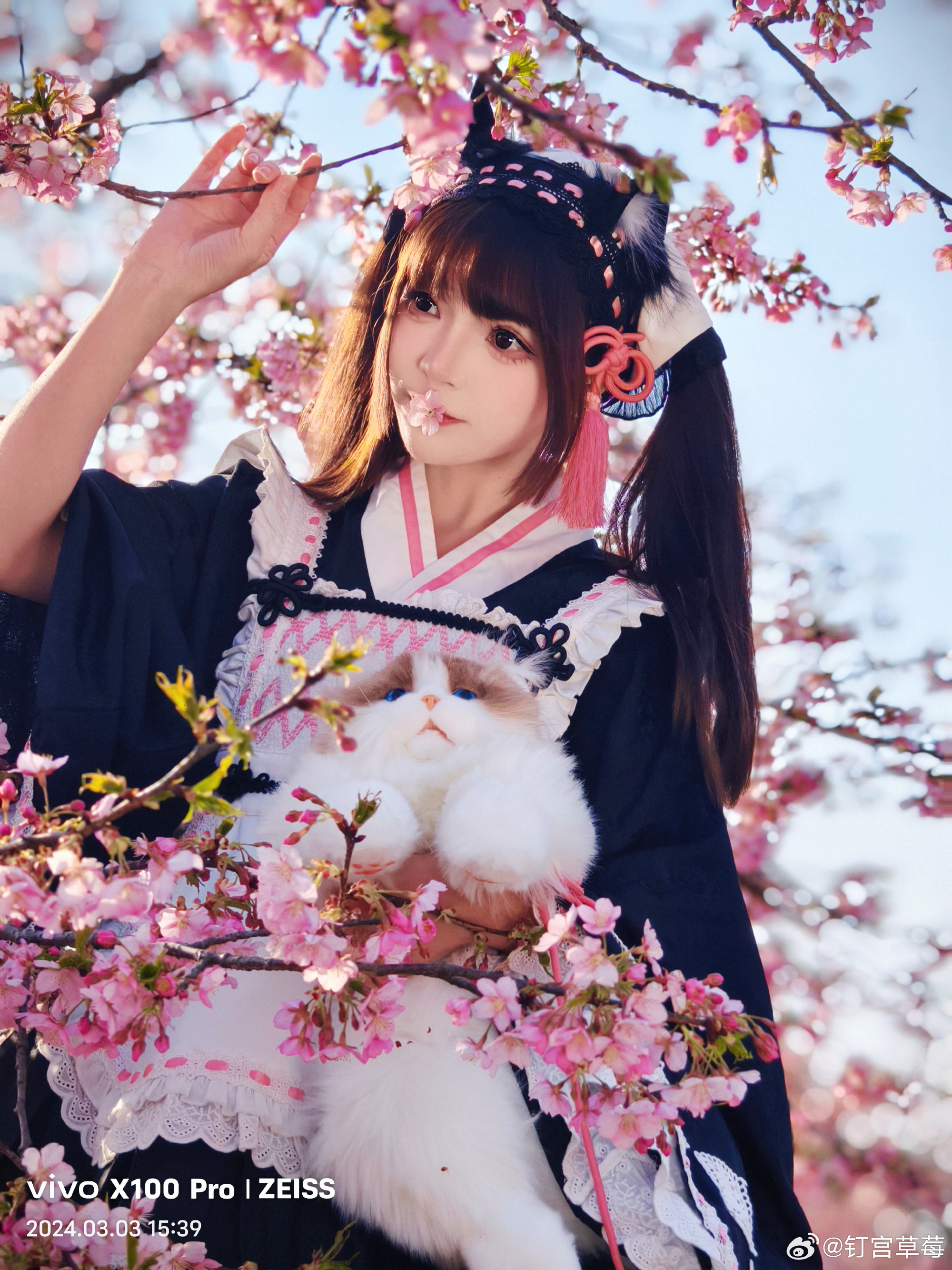 lolita 🌸樱花小妹出现辣!每年必打卡项目!@钉宫草莓 LOLITA-第13张