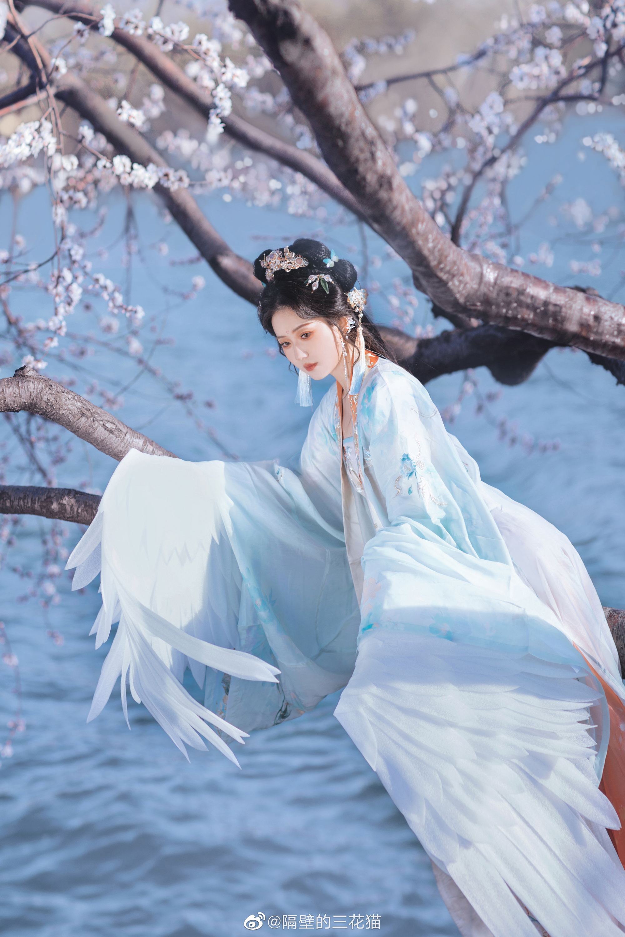 汉服 你是山川 河流 大海  我奔赴于你…@隔壁的三花猫