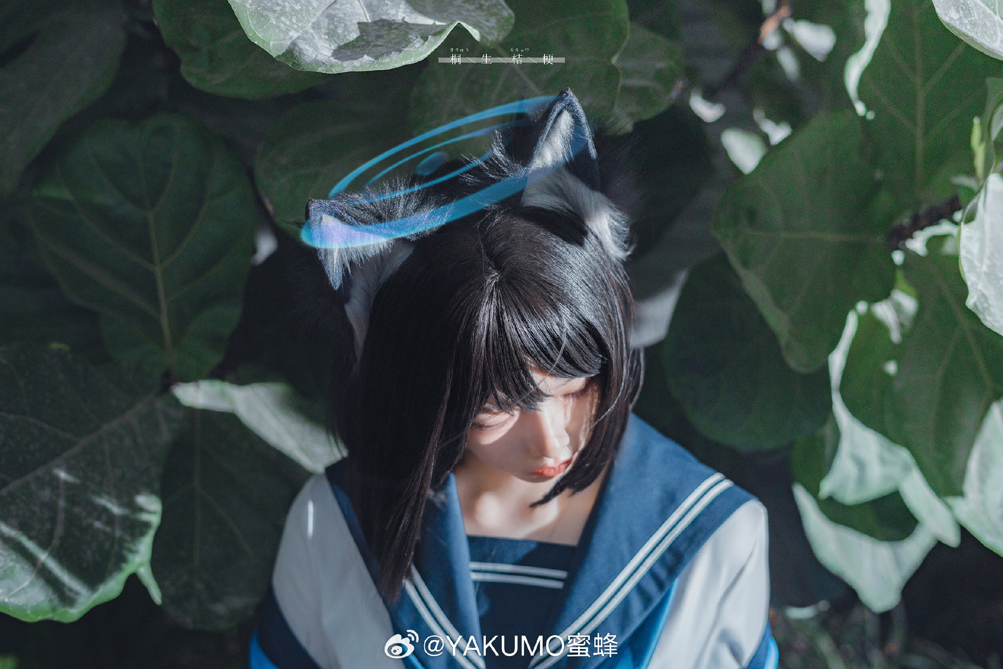 COSPLAY 百鬼夜行連合学院所属、百花繚乱の作戦参謀、桐生キキョウ。@YAKUMO蜜蜂 COSPLAY-第5张