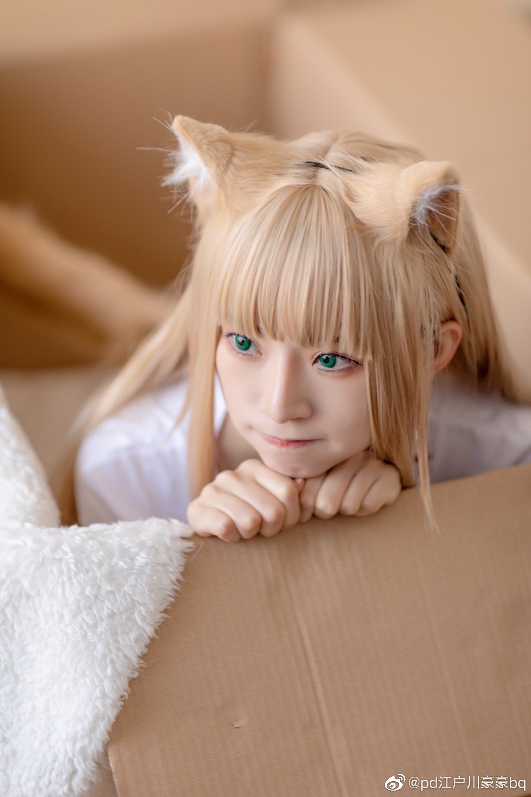 黄豆粉 kinako@pd江户川豪豪bq cosplay-第1张