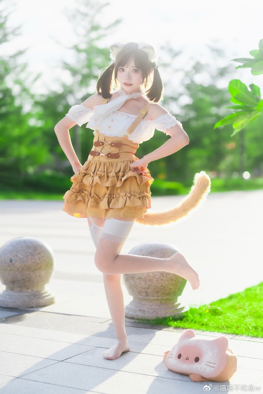 图片[4]-讨厌你 每个小猫你都想摸˃ ˄ ˂̥̥@喵喵不吃鱼w-米哈社