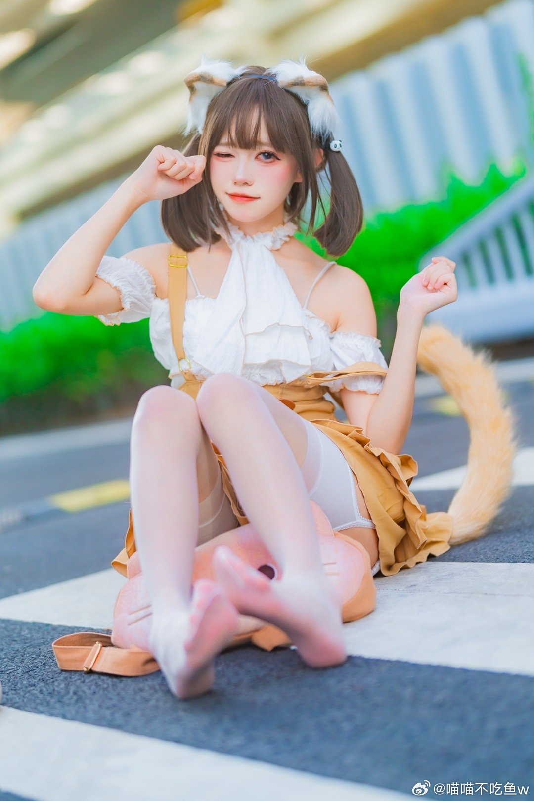 图片[1]-讨厌你 每个小猫你都想摸˃ ˄ ˂̥̥@喵喵不吃鱼w-米哈社