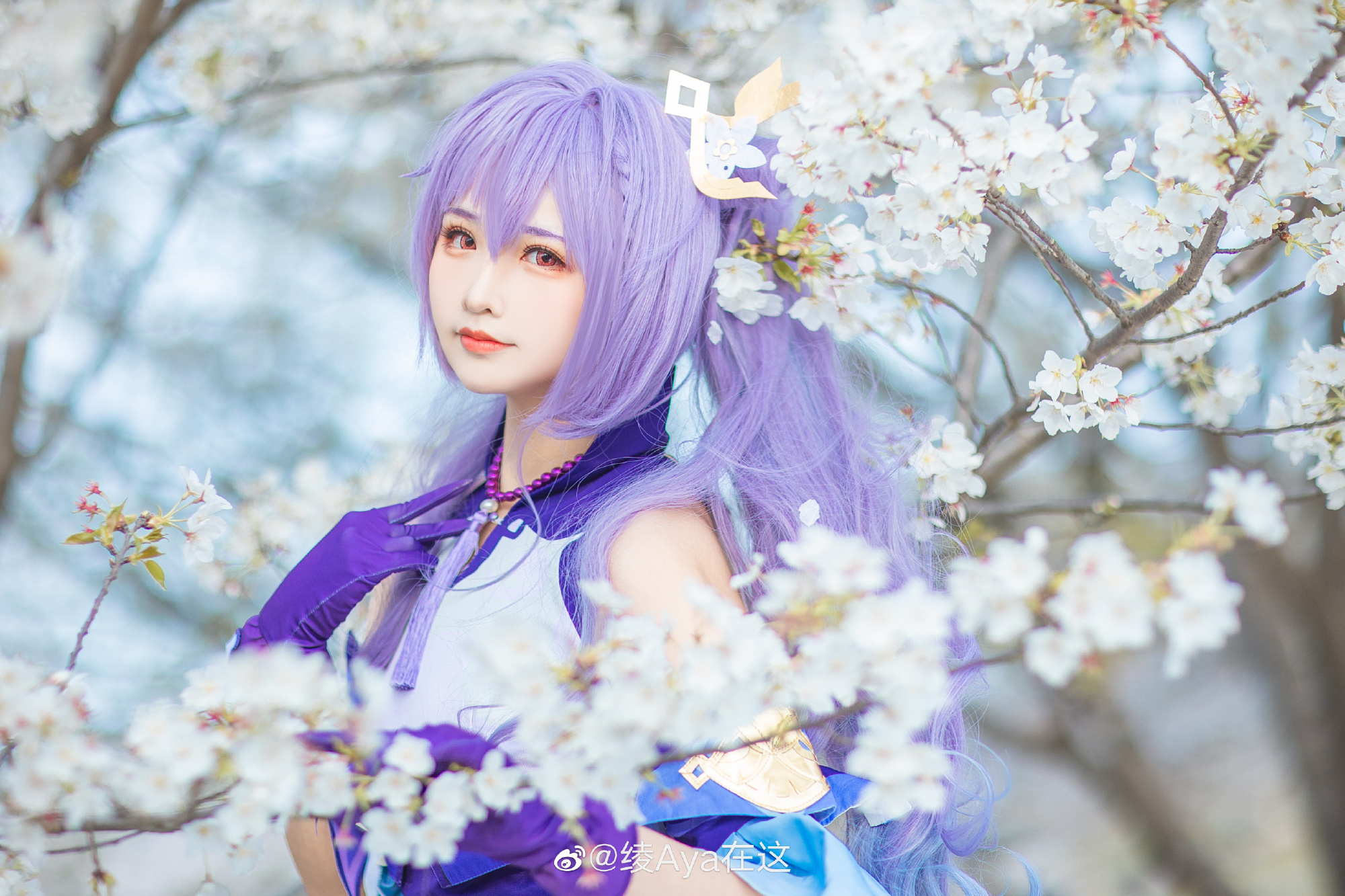 原神 刻晴@绫Aya在这