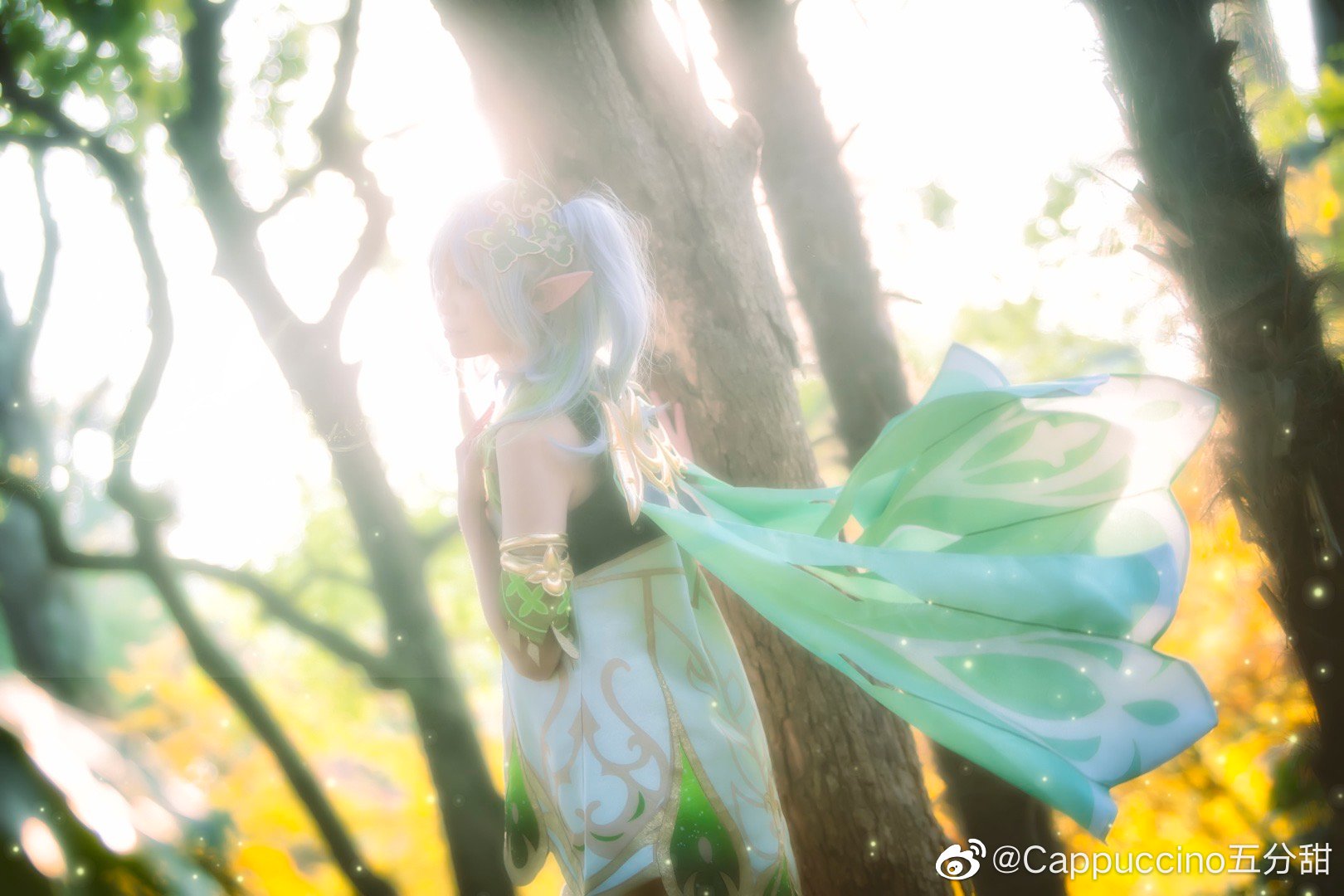 初次见面,我已经关注你很久了。 原神 小草神纳西妲 ?@Cappuccino五分甜