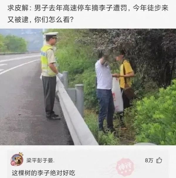 3CD有意思GIF动态图【第31期】回家过年成为了奢望-3CD