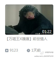 ……谁来给我科普一下现在B站CP的风向？