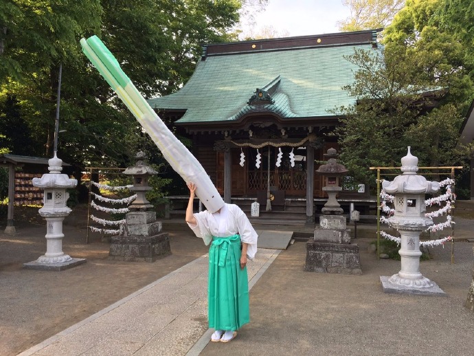 神奈川县的有鹿神社为了吸引游客的注意，这里的神职人员打扮成葱的样子。