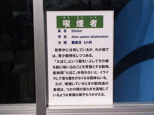 日本的公共场所让人抽烟的地方已经越来越少了，有的吸烟室竟然是放工具的简易板房。