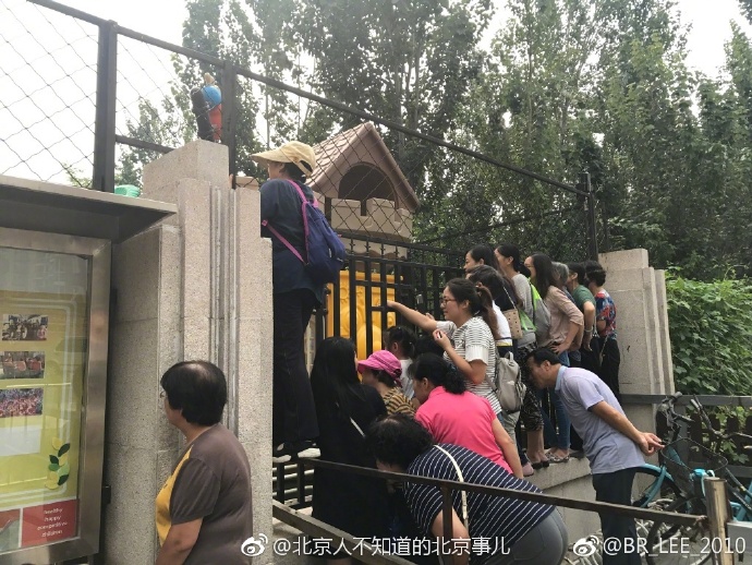 北京某幼儿园今儿开学第一天，这是园外的家长们。。。