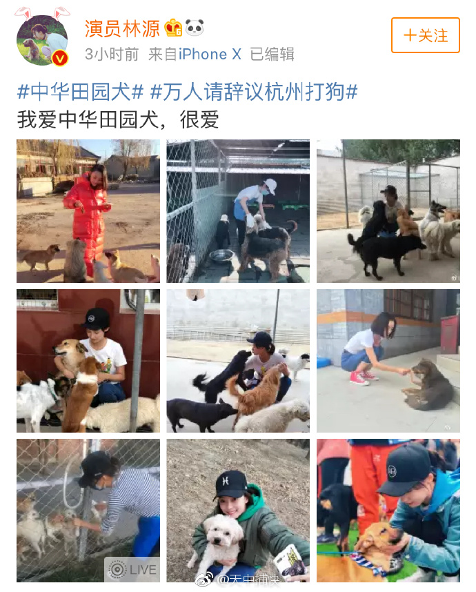  所谓的“万人请辞杭州打狗”突然就热了起来，一堆艺人跳出来发微博