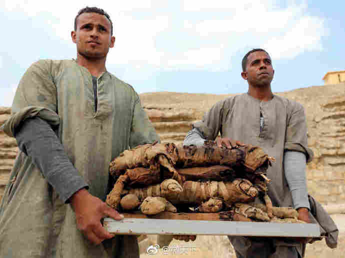 埃及新发现7座法老墓葬，发现大量猫咪木乃伊