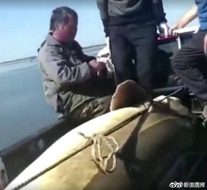 黑龙江渔民捕获1028斤大鳇鱼，价值20万元