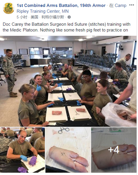 美国陆军第194装甲旅的军医用猪蹄进行缝合训练