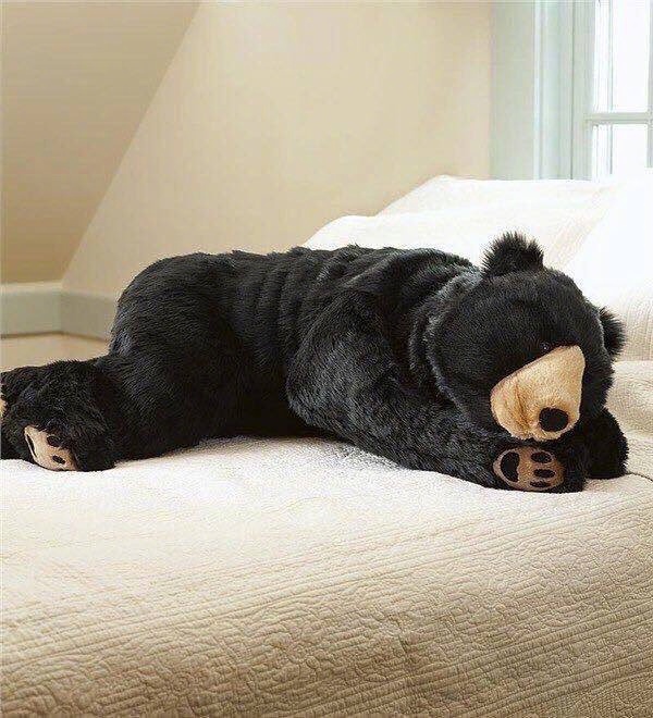 岛国推出的黑熊睡袋，安全度简直爆表！