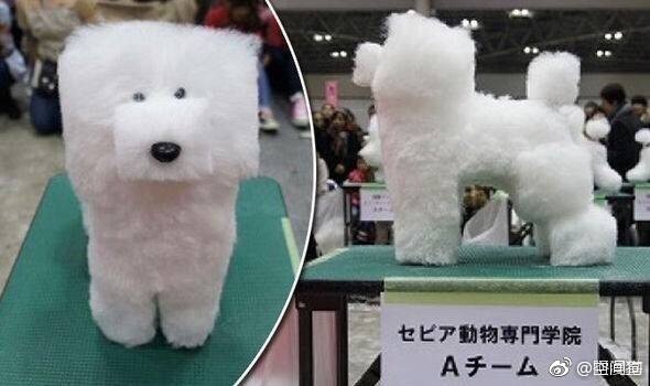 日本狗狗美容比赛优胜狗
