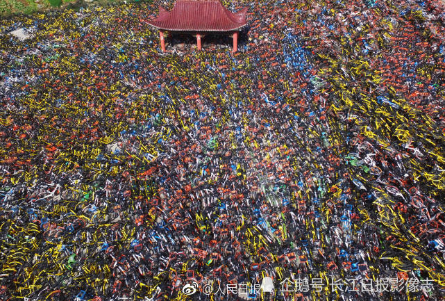 触目惊心！武汉一荒地万辆共享单车堆积如山