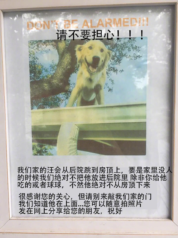 国外一网友贴的关于他家狗的告示，邻居：？？？