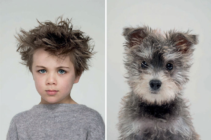 英国摄影师GerrardGething拍摄「人模狗样」系列。