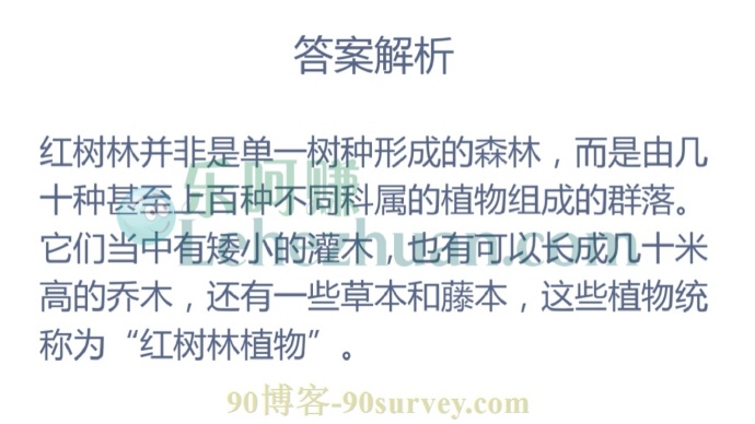 红树林并非是单一树种形成的森林