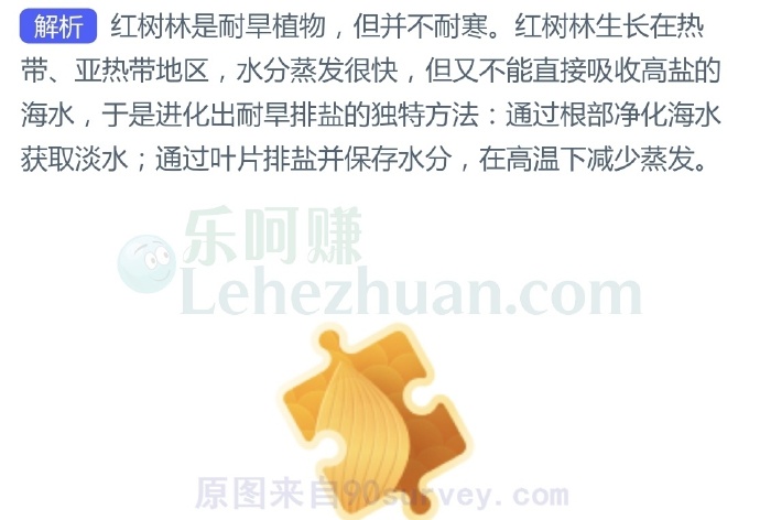红树林是耐旱植物