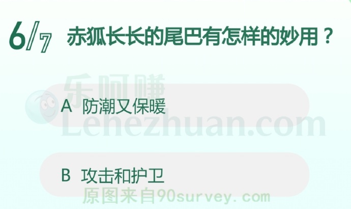 尾巴可以帮助赤狐防潮保暖