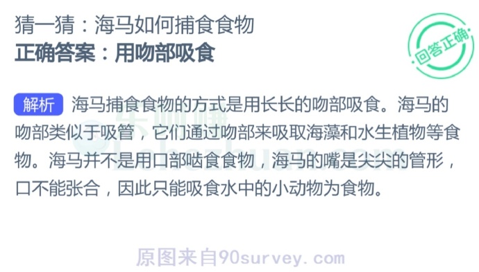 海马捕食食物的方式是用长长的吻部吸食