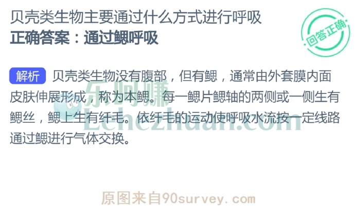 贝壳类生物主要通过鳃呼吸