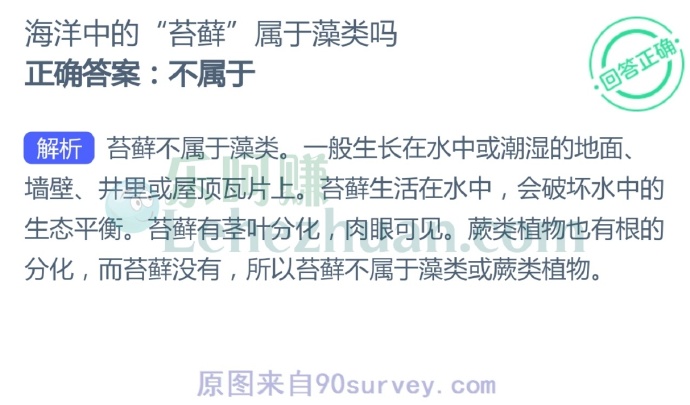 苔藓不属于藻类