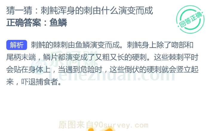 刺鲀的棘刺由鱼鳞演变而成