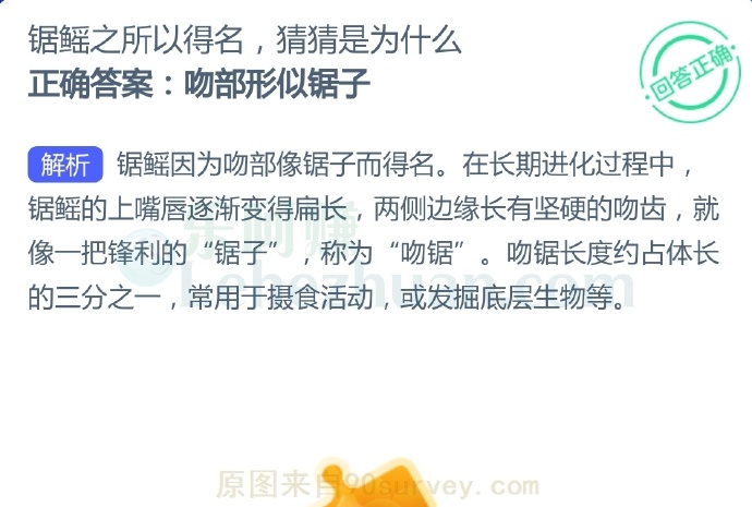 锯鳐因为吻部像锯子而得名