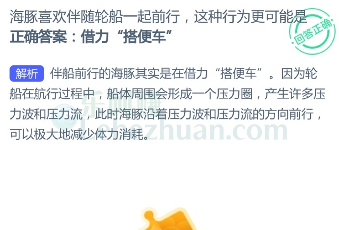 伴船前行的海豚其实是在借力“搭便车”