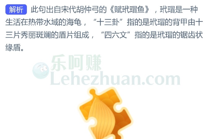 诗句“背负十三卦，旁分四六文”指的是玳瑁