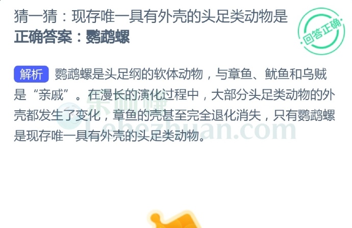 现存唯一具有外壳的头足类动物是鹦鹉螺