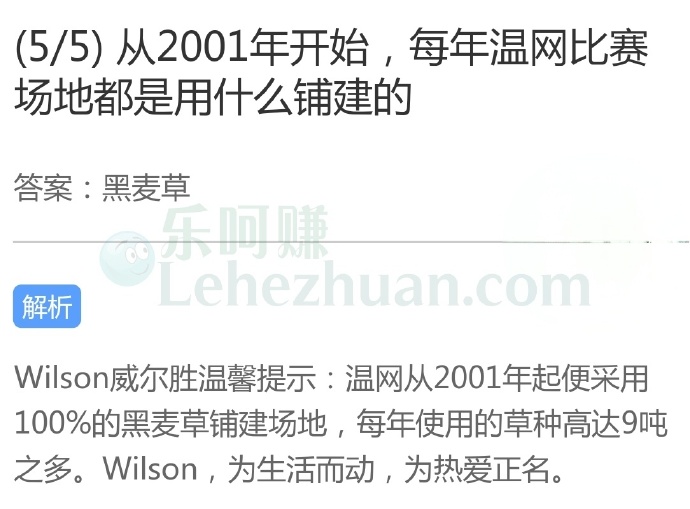 温网从2001年起便采用黑麦草铺建场地