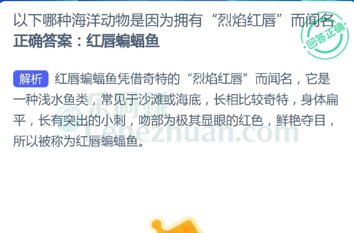 红唇蝙蝠鱼因为拥有“烈焰红唇”而闻名