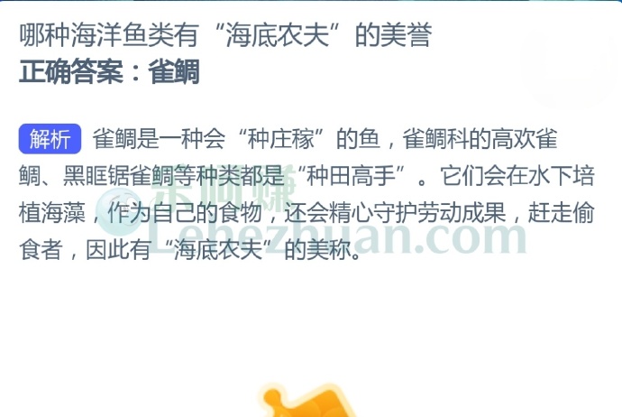 雀鲷有“海底农夫”的美誉