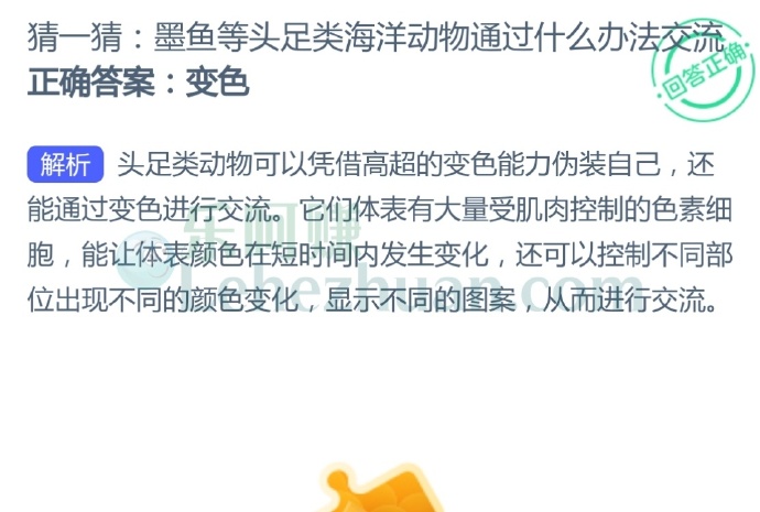 墨鱼等头足类海洋动物通过变色进行交流
