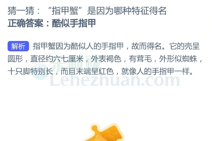 “指甲蟹”是因为哪种特征得名？