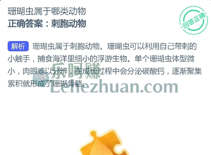 珊瑚虫属于哪类动物？