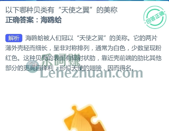 以下哪种贝类有“天使之翼”的美称？