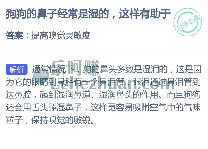 狗狗的鼻子经常是湿的，这样有助于？