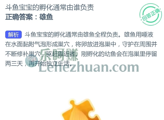斗鱼宝宝的孵化通常由谁负责？