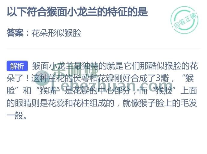 以下符合猴面小龙兰的特征的是？