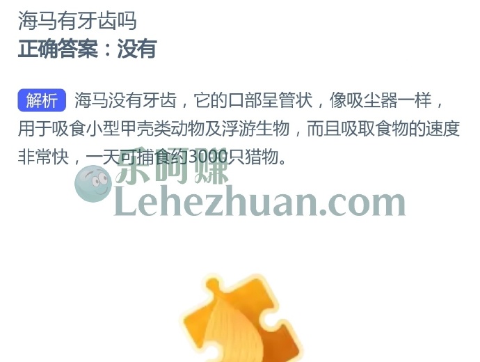 海马有牙齿吗?