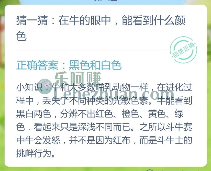 在牛的眼中，能看到什么颜色？