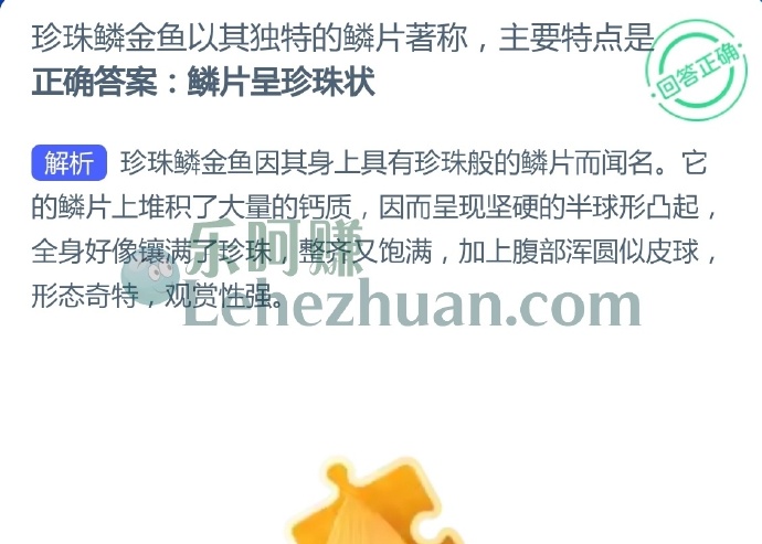 珍珠鳞金鱼以其独特的鳞片著称,主要特点是?