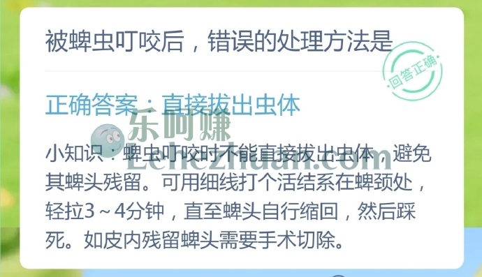 被蜱虫叮咬后，错误的处理方法是？