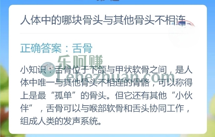 人体中的哪块骨头与其他骨头不相连？